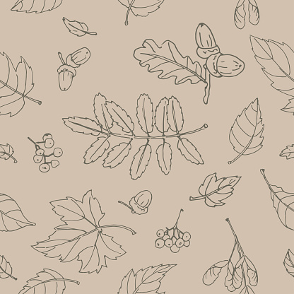 monochrome beige outline rowan, maple and oak leaves and berries. Seamless vector pattern