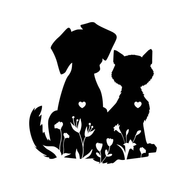 https www istockphoto com jp e3 82 a4 e3 83 a9 e3 82 b9 e3 83 88 e3 83 87 e3 82 a3 e3 82 ba e3 83 8b e3 83 bc e3 83 af e3 83 bc e3 83 ab e3 83 89