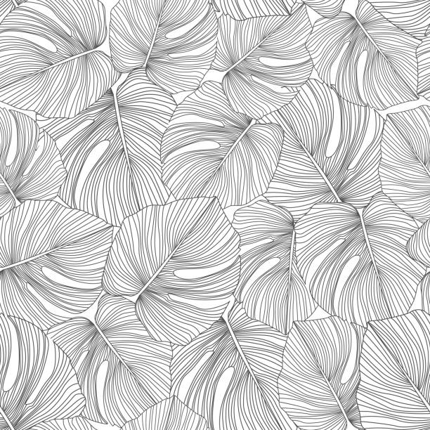 Monochrome monstera leaves seamless pattern. Tropical pattern, Monochrome monstera leaves seamless pattern. Tropical pattern, botanical leaf on white background. Trendy design for fabric, textile print, wrapping paper. Vector illustration monstera stock illustrations