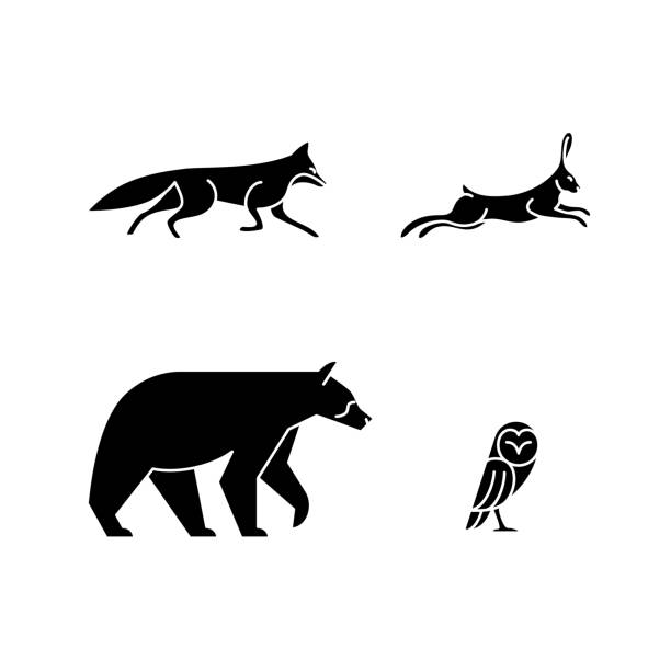 Monoline Animals Set of 4 Monoline Animal - Fox, Hare, Bear, Owl fox stock illustrations