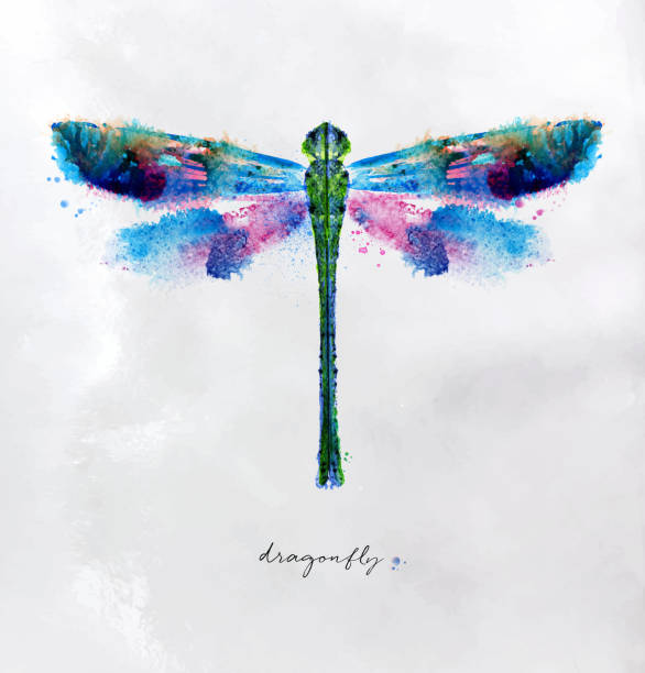 Monotype vivid dragonfly Monotype vivid colorful dragonfly drawing with different colors on paper background dragonfly stock illustrations