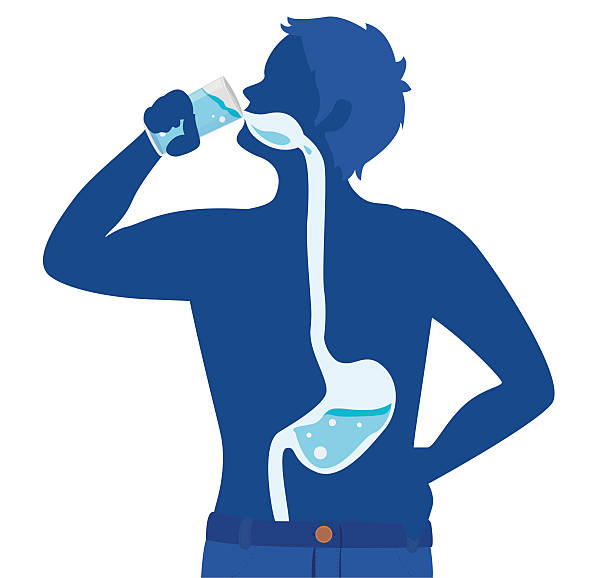 illustrazioni stock, clip art, cartoni animati e icone di tendenza di acqua potabile - bere acqua