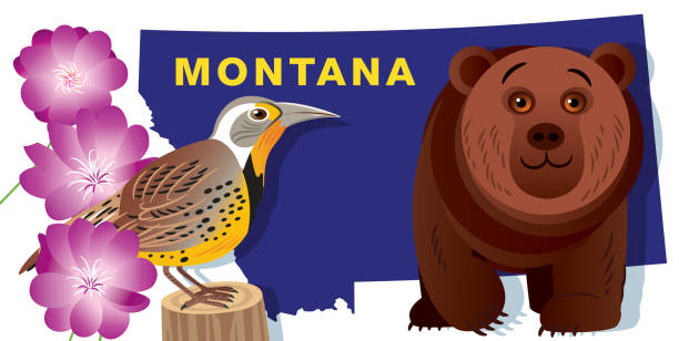 Montana Symbols MONTANA

I have used 
http://legacy.lib.utexas.edu/maps/us_2001/montana_ref_2001.jpg
address as the reference to draw the basic map outlines with Illustrator CS5 software, other themes were created by 
myself. meadowlark stock illustrations