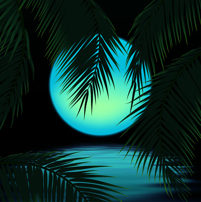 Moon with palm trees, moonlight and palm leaf background. Vector illustration.