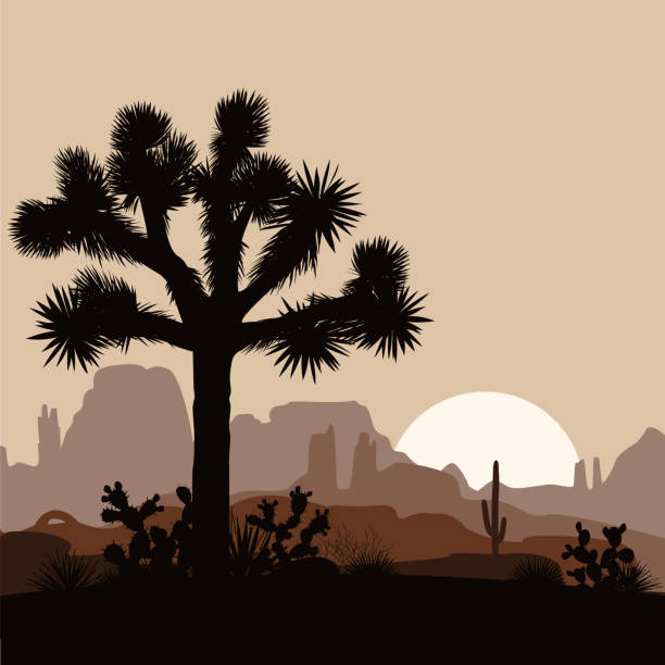 Morning landscape with Joshua tree and mountains over sunrise. Vector illustration. Morning landscape with Joshua tree, prickly pear, and mountains over sunrise. Vector illustration. desert area silhouettes stock illustrations