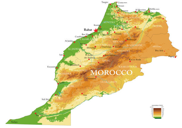 ilustrações de stock, clip art, desenhos animados e ícones de morocco physical map - marrakech desert