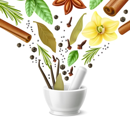Mortar and pestle spices. Realistic porcelain grinding device with flying herbs, seeds and sprigs, dry clove, vanilla pods, cinnamon sticks, rosemary sprigs, black pepper, vector concept