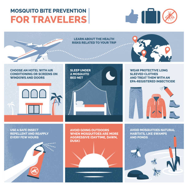 Mosquito bite prevention for travelers infographic Mosquito bite prevention advices for travelers, vector infographic dengue fever fever stock illustrations
