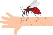 Mosquito bite.vector illustration.