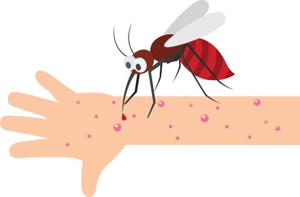 stockillustraties, clipart, cartoons en iconen met muggenbeet - muggen