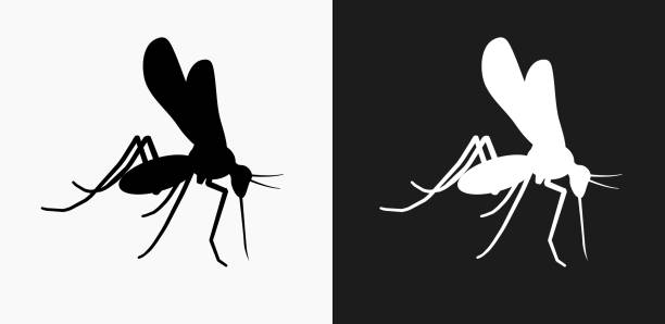 stockillustraties, clipart, cartoons en iconen met mosquito pictogram op zwart-wit vector achtergronden - muggen