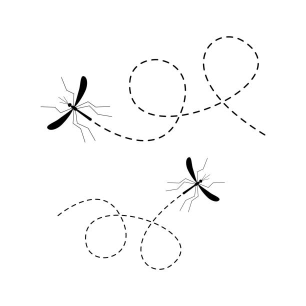 stockillustraties, clipart, cartoons en iconen met het pictogramreeks van de mug. muggen die op een gestippelde route vliegen. - malaria