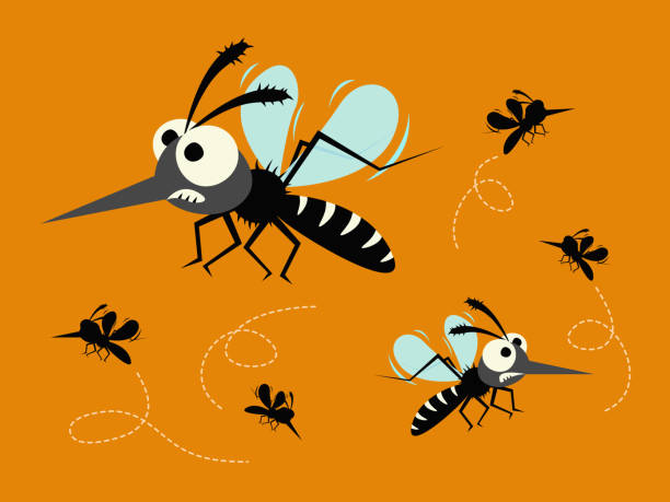 stockillustraties, clipart, cartoons en iconen met mosquito instellen geïsoleerd op oranje achtergrond. - muggen