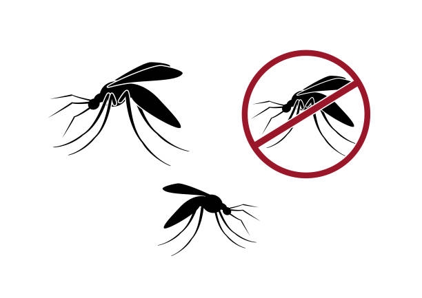 stockillustraties, clipart, cartoons en iconen met mosquito vector illustratie - muggen