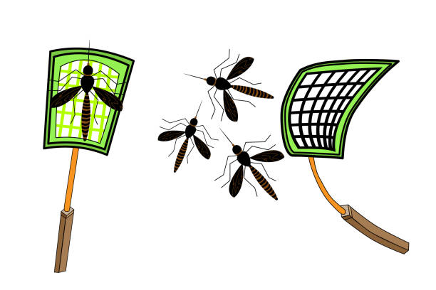 stockillustraties, clipart, cartoons en iconen met muggen en swatter geïsoleerd op witte achtergrond. - vliegenmepper
