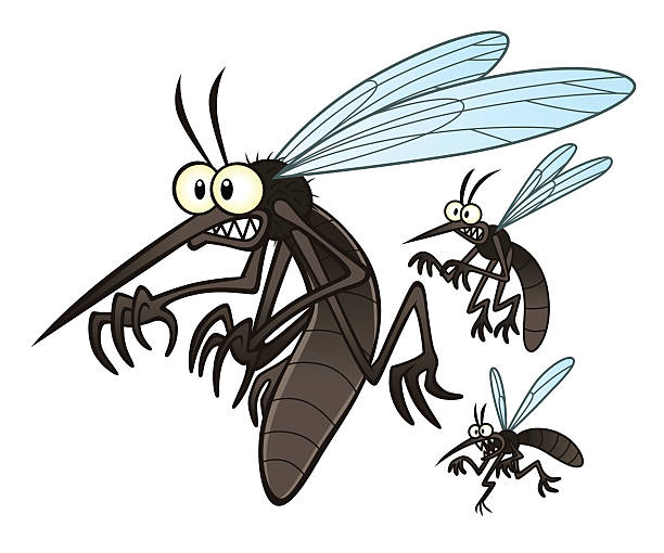stockillustraties, clipart, cartoons en iconen met mosquitoes - muggen