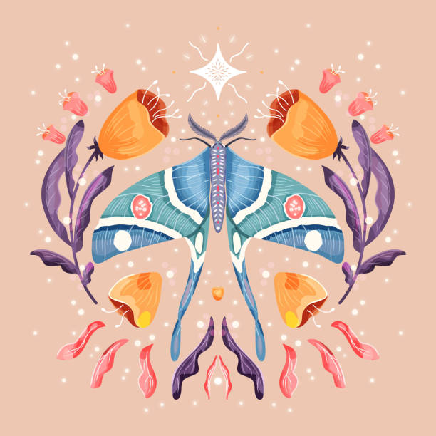 Moth and floral motifs, pattern design in symmetry. Colorful flat vector illustration with moth, flowers, floral elements and stars. vector art illustration
