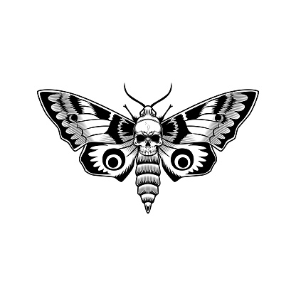 Moth With Skull Vector Illustration Stock Illustration - Download Image ...