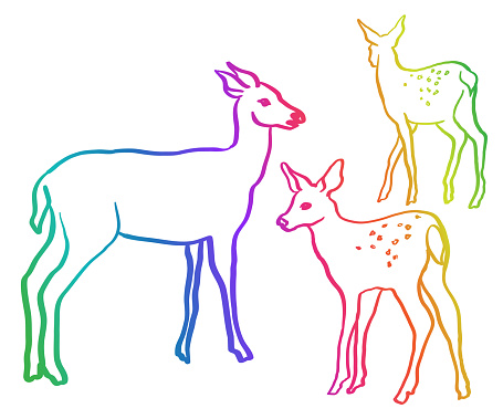 Mother Deer And Fawns Rainbow