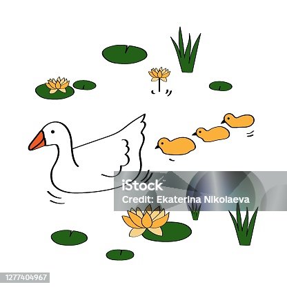 istock Mother goose with little yellow goslings swimming in the lake 1277404967