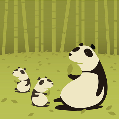 Mother Panda with Cubs