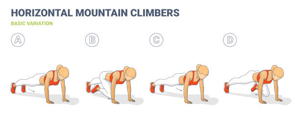 Mountain Climbers Home Workout Woman Exercise Guide Colorful Illustration Mountain Climbers Home Workout Woman Exercise Guide Illustration. Colorful Concept of Girl Working at Home on Her Abs a Young Female in Sportswear Top, Sneakers, and Leggings Doing Sport Training. mountain climber exercise stock illustrations