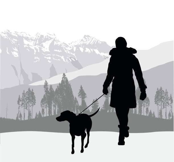Mountain Dog Walk Silhouette vector illustration of a woman walking her dog through a mountain range winter silhouettes stock illustrations