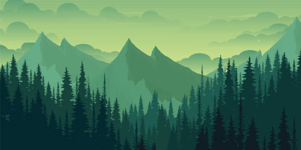Mountain landscape and pine forest. Mountain landscape and pine forest. Gradient mountain shadows. road silhouettes stock illustrations