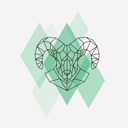 Mountain sheep head geometric lines silhouette isolated on a green rhombus. Vector illustration.