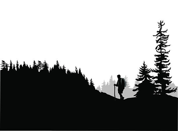 Mountain Top Hiking A vector silhouette illustration of a young man hiking through the deep forest up a hill. mountain clipart stock illustrations