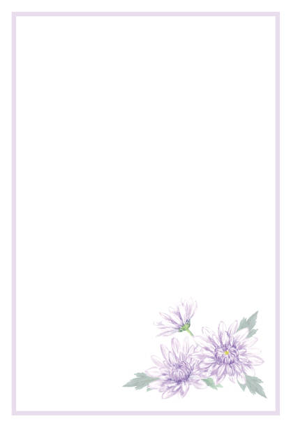 stockillustraties, clipart, cartoons en iconen met rouwende prentbriefkaartsjabloon van chrysant. - rouwkaart