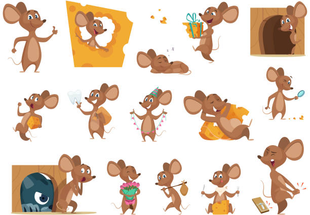 Mouse cartoon. Small mice in action poses lab animals friendly mascot pets vector characters Mouse cartoon. Small mice in action poses lab animals friendly mascot pets vector characters. Illustration mouse eating cheese and situation with cat mouse animal stock illustrations