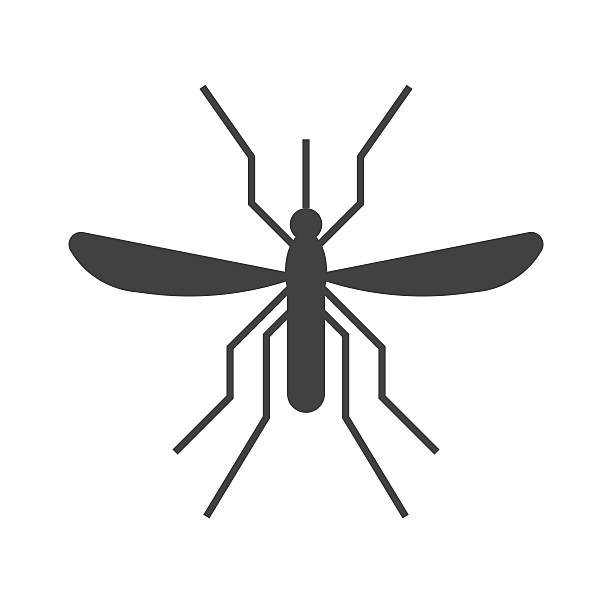 stockillustraties, clipart, cartoons en iconen met mousquito outline icon - muggen