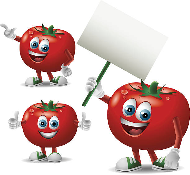 Mr. Tomato: 3 in 1 A tomato cartoon in 3 poses. tomato cartoon stock illustrations