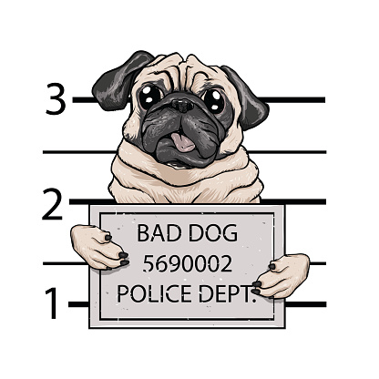 mugshot dog cartoon.