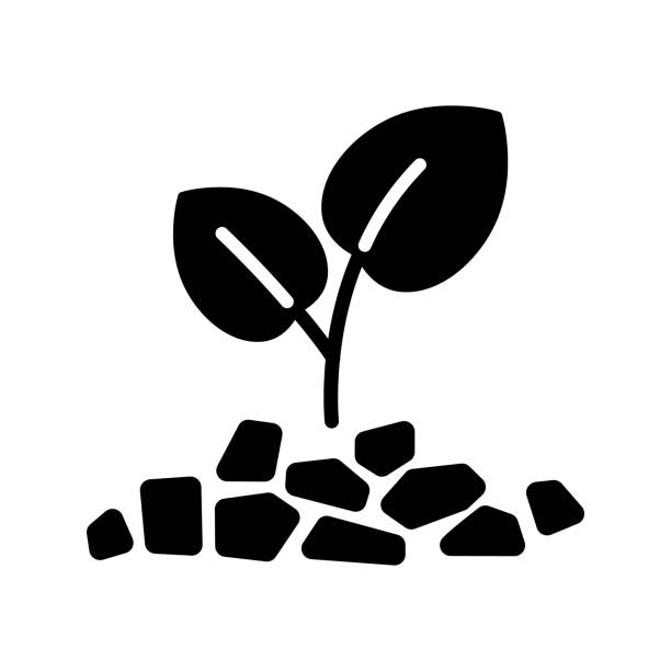 Mulch black glyph icon Mulch black glyph icon. Layer of material applied to the surface of soil. Improving fertility and health of soil to grow plants. Silhouette symbol on white space. Vector isolated illustration mulch stock illustrations