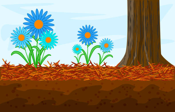Mulch gardening concept with daisy, red mulch and tree trunk. Landscape design mulch. Mulches and mulching for decorative finish, soil protection. Woody waste using as a mulch. Stock vector illustration mulch stock illustrations