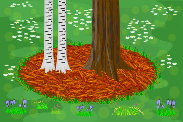 Mulch gardening concept with trees, red mulch and grass. Trees trunk base with mulch and lawn. Agriculture outdoor seasonal work. Mulching of plants, soil protection. Landscape design mulch. Vector mulch stock illustrations