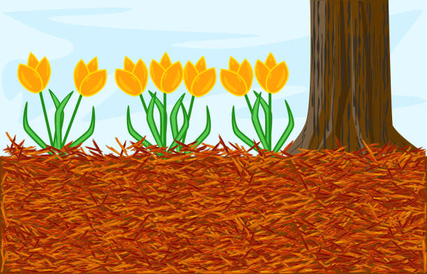 ilustraciones, imágenes clip art, dibujos animados e iconos de stock de concepto de jardinería de mulch con tulipán, mantillo rojo y tronco de árbol. - mulch