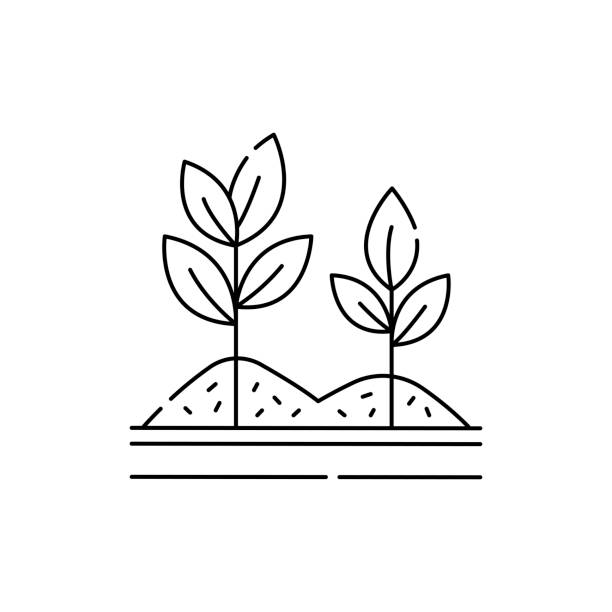 ilustraciones, imágenes clip art, dibujos animados e iconos de stock de icono de la línea de olor de acolchado. servicio de jardinería. - mulch