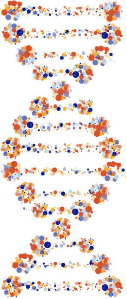 multi color dots dna scientific research dna design element icon symbol helix model stock illustrations