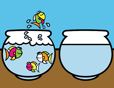 A multi-coloured fish jumping out of a fishbowl into another aquarium – a better place with space