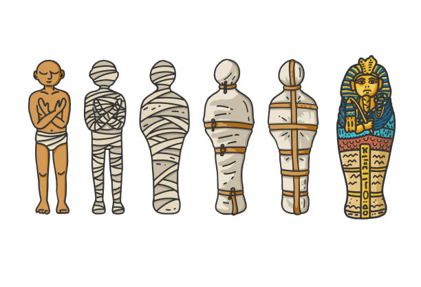 Mummy creation; A six step process showing how the ancient egyptians bandaging their dead during embalming. Vector illustration in hand draw cartoon style. Mummy creation; A six step process showing how the ancient Egyptians wrapping the mummies during embalming. Vector illustration in hand draw cartoon style. king tut stock illustrations