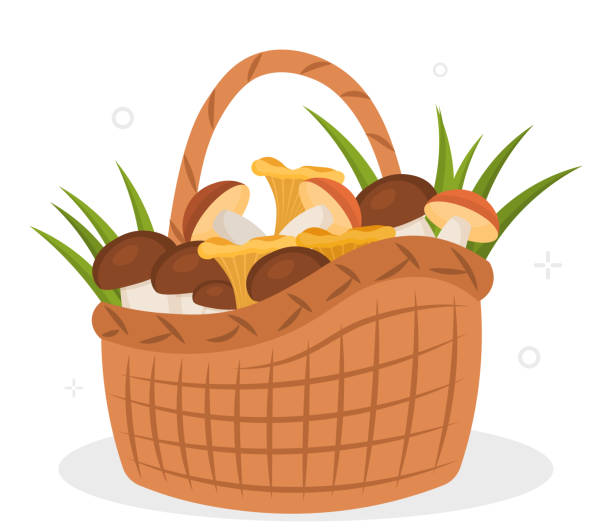 ilustrações de stock, clip art, desenhos animados e ícones de mushrooms in basket - technology picking agriculture