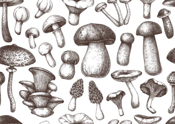 Mushrooms seamless pattern Edible mushrooms vector background.  Forest plants seamless pattern. Perfect for recipe, menu, label, icon, packaging. Vintage mushrooms design. Healthy food elements. Hand drawn illustration. fungus stock illustrations