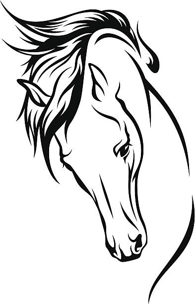 mustang horse head with flying mane vector illustration horse clipart stock illustrations