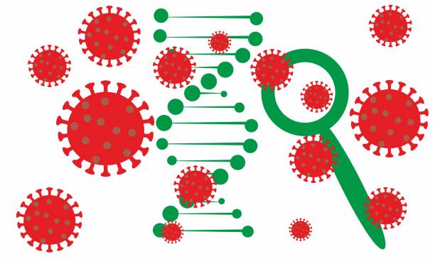 mutiertes coronavirus-dna-konzept. - coronavirus mutation stock-grafiken, -clipart, -cartoons und -symbole