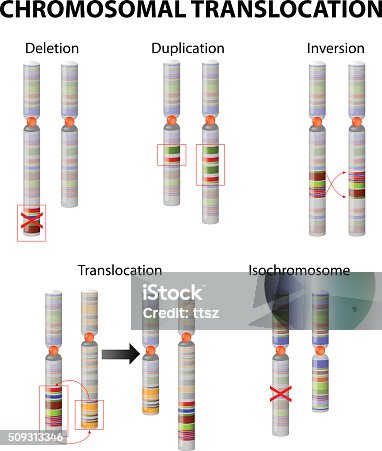 istock Mutation. Chromosome abnormality 509313346