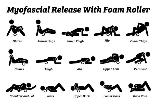 Myofascial release with foam roller physical therapy techniques for different body parts. vector art illustration