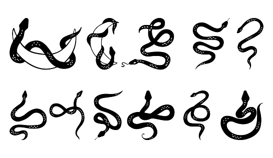 Boho modern hand drawn design elements for logo and branding.